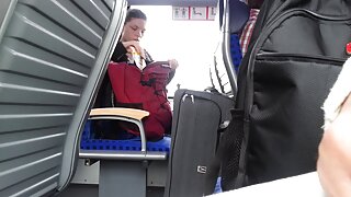 Сайхан хулан